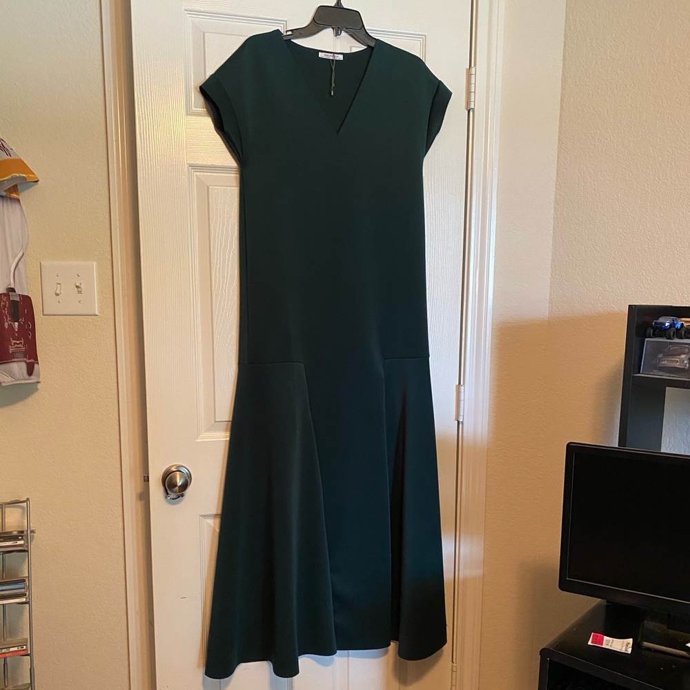 Zara Trafaluc Mermaid Gown